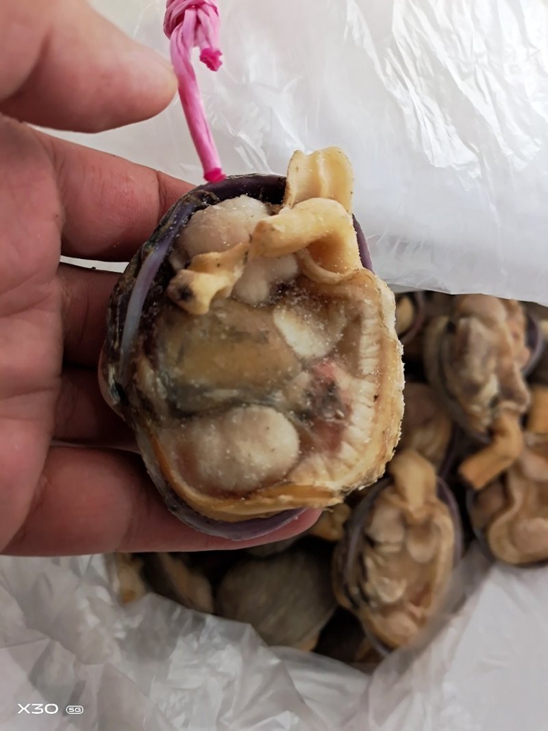 半壳天鹅蛋干冰货又叫狼贝
