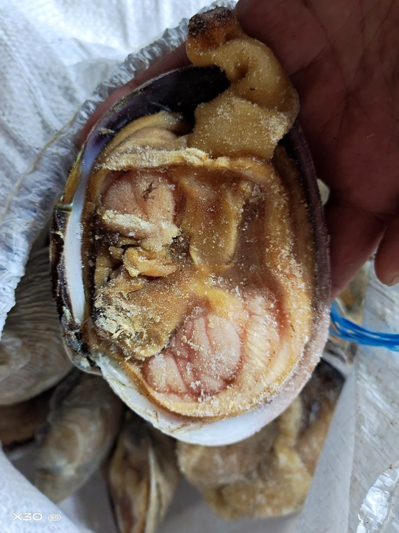 半壳天鹅蛋干冰货又叫狼贝