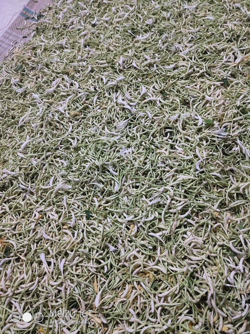 纯野生金银花