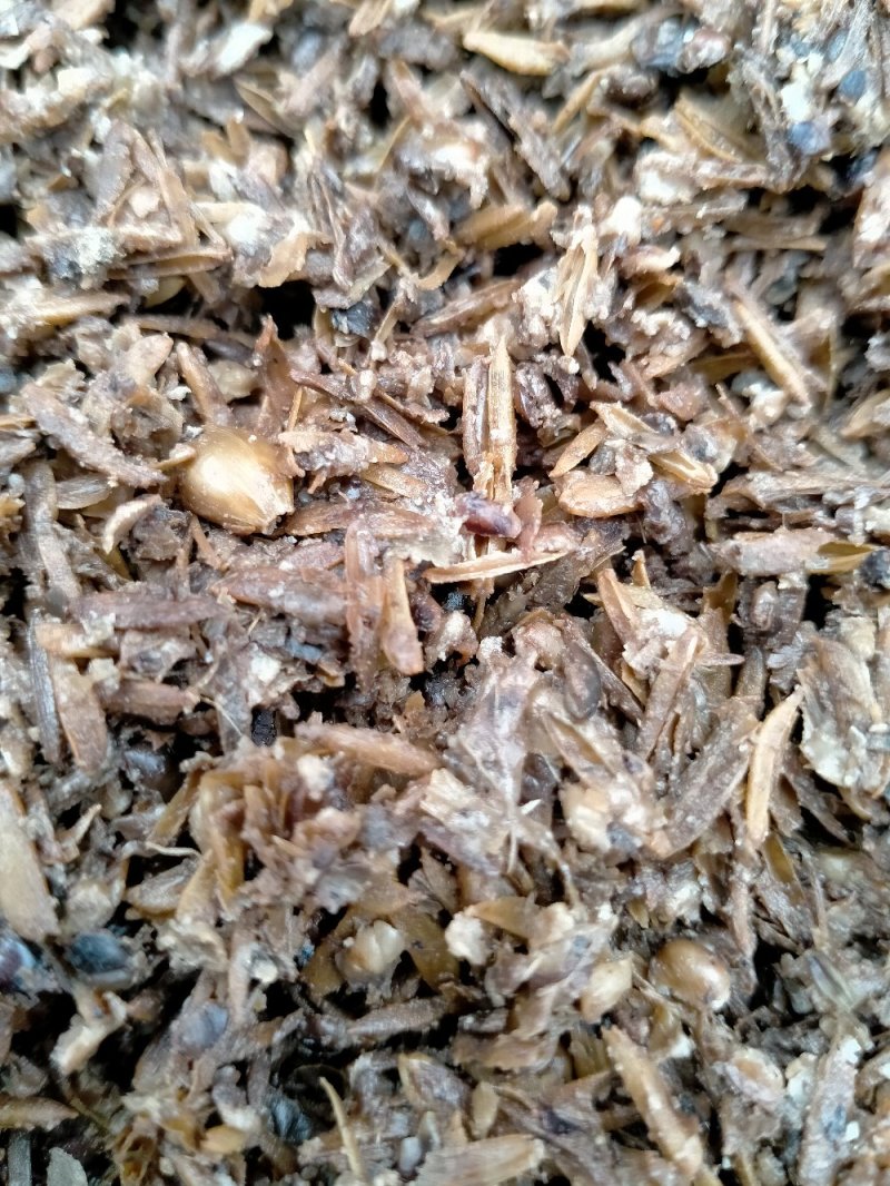 【今日推荐】白酒糟，五粮酒糟，酒糟粉，干酒糟，高粮酒糟
