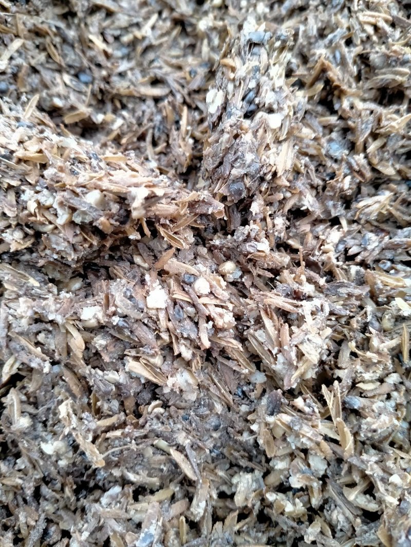 【今日推荐】白酒糟，五粮酒糟，酒糟粉，干酒糟，高粮酒糟