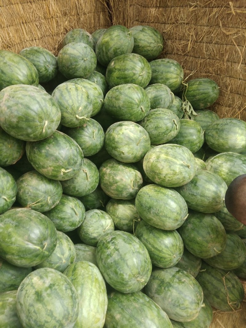 龙卷风大西瓜
