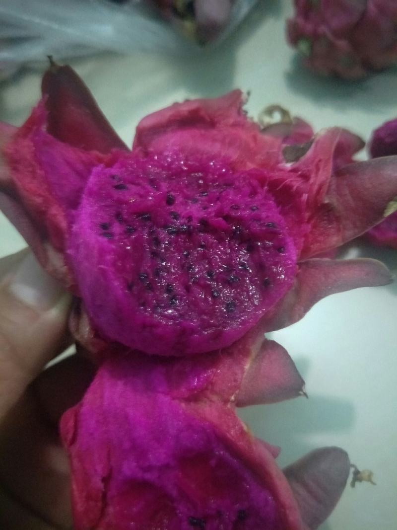 火龙果