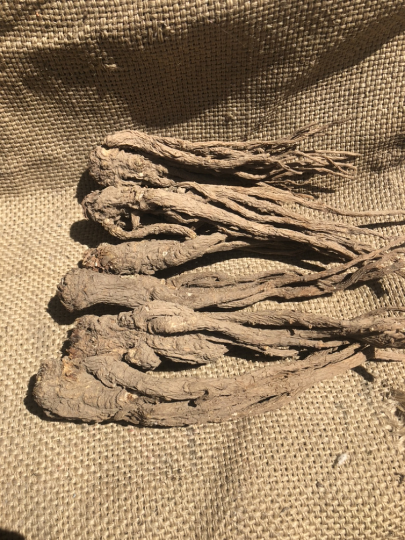 【推荐】甘肃当归圆片，当归片，当归头片，产地批发