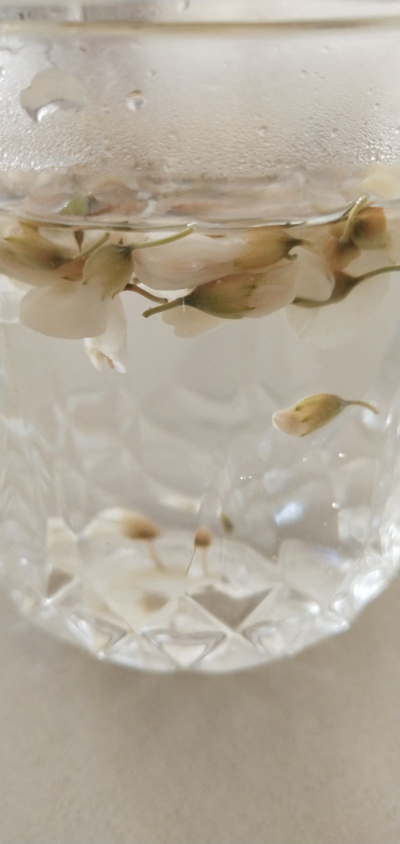 槐花茶