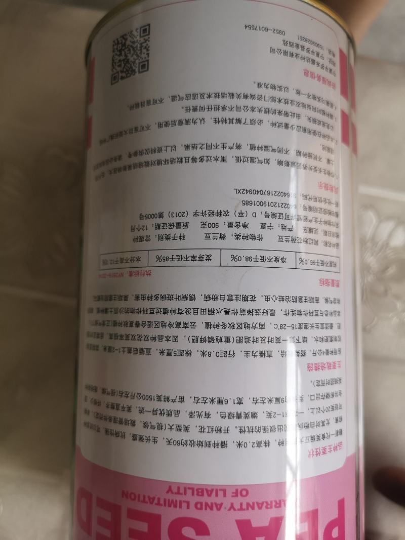 荷兰豆种子粉花小荚豆荚豆种子小荚豆种子粉花豆