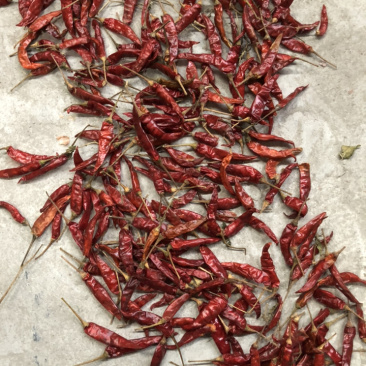 缅甸干椒