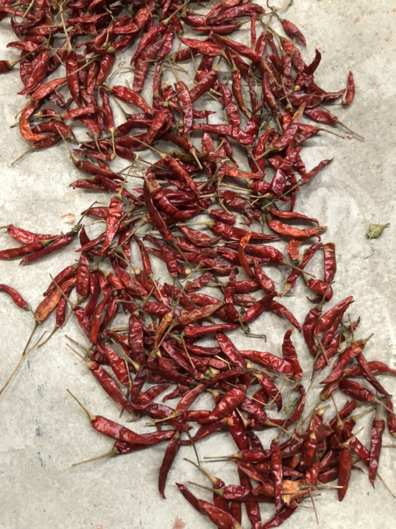 缅甸干椒