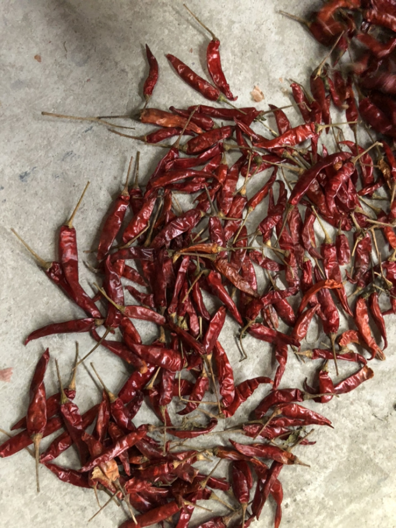 缅甸干椒