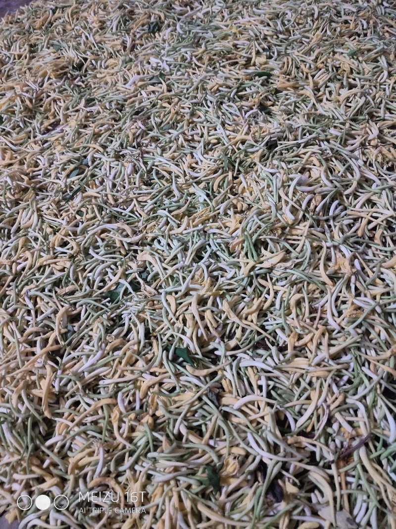 纯野生金银花