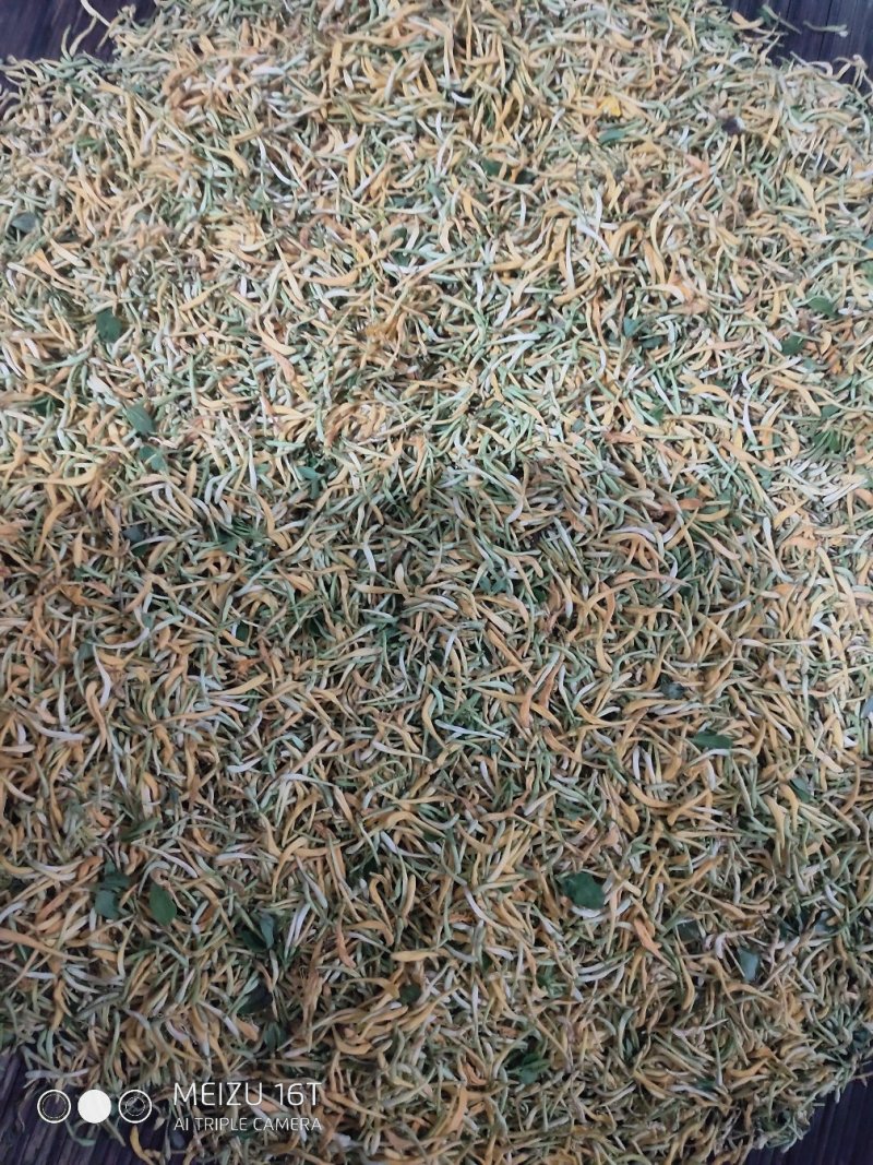 纯野生金银花