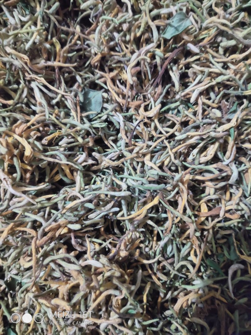 纯野生金银花