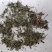 透骨草统货支持混货量大可物流发货1000克批发