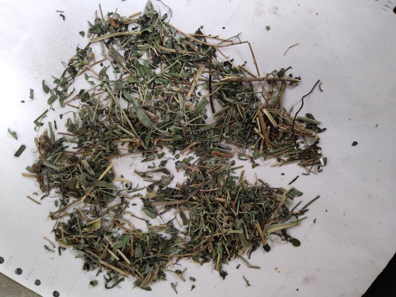 透骨草统货支持混货量大可物流发货1000克批发