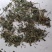 透骨草统货支持混货量大可物流发货1000克批发
