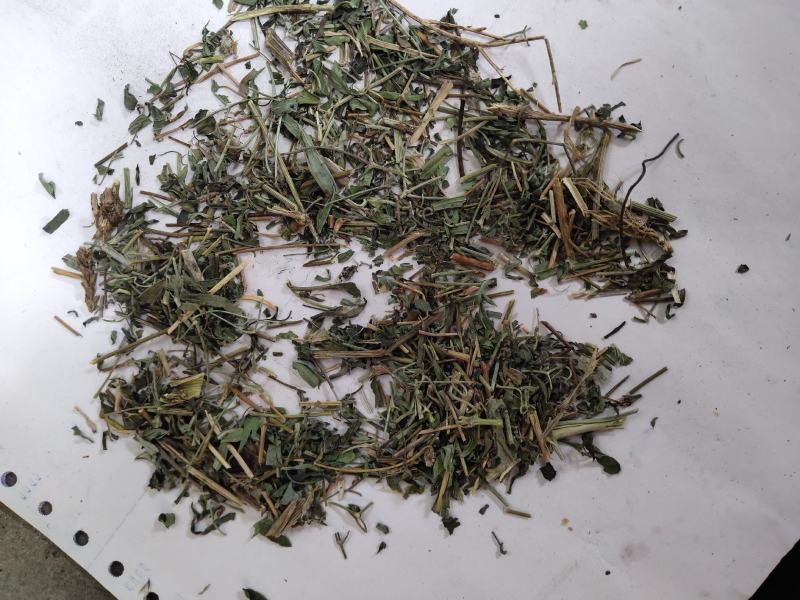 透骨草统货支持混货量大可物流发货1000克批发