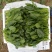 精品【菠菜】对接电商市场商超等各类客户欢迎咨询