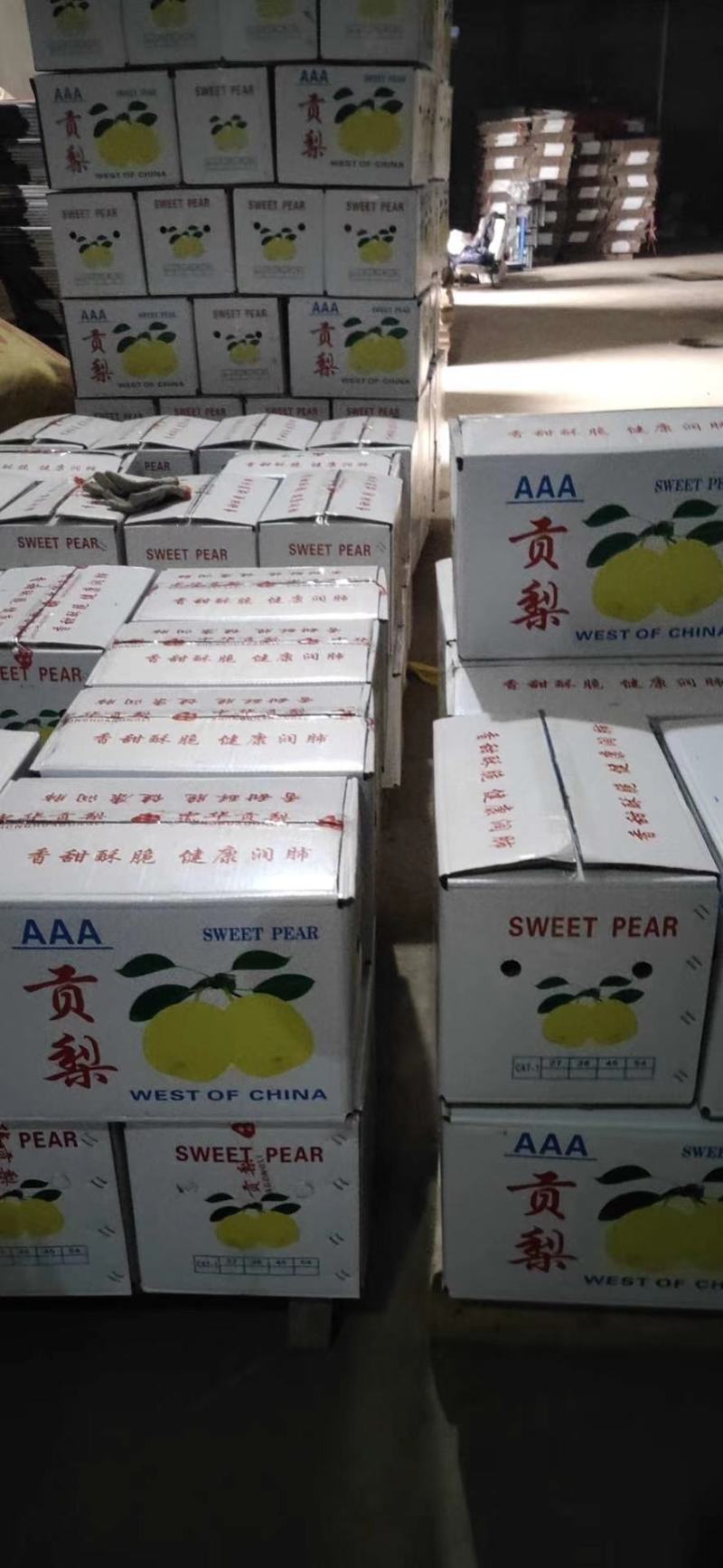 砀山酥梨，白酥梨，红香酥梨，雨露香梨，插管梨，七彩虹梨大
