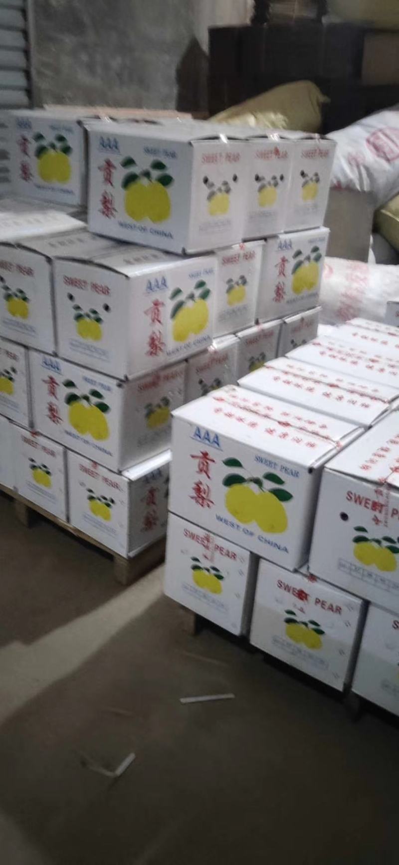 砀山酥梨，白酥梨，红香酥梨，雨露香梨，插管梨，七彩虹梨大