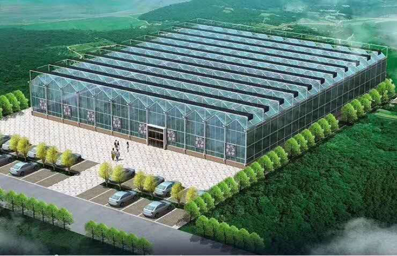 玻璃温室连栋大棚温室大棚薄膜连栋日光棚
