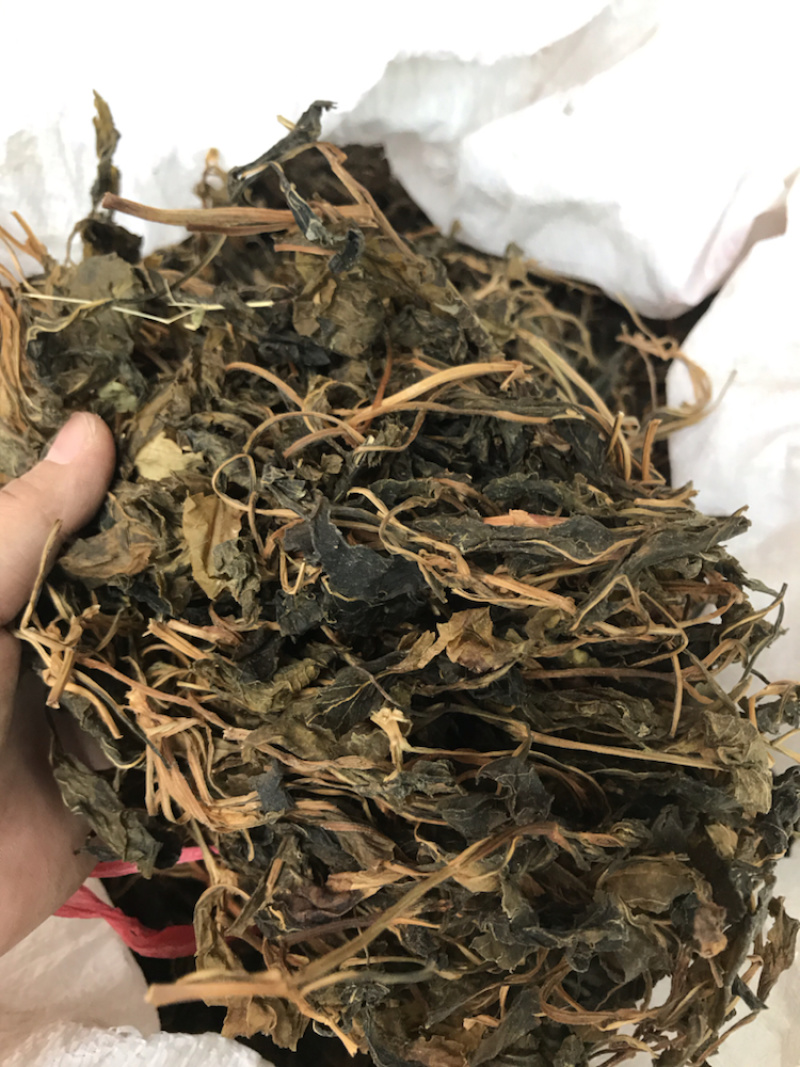 野生苦斋菜苦斋婆粤北野菜