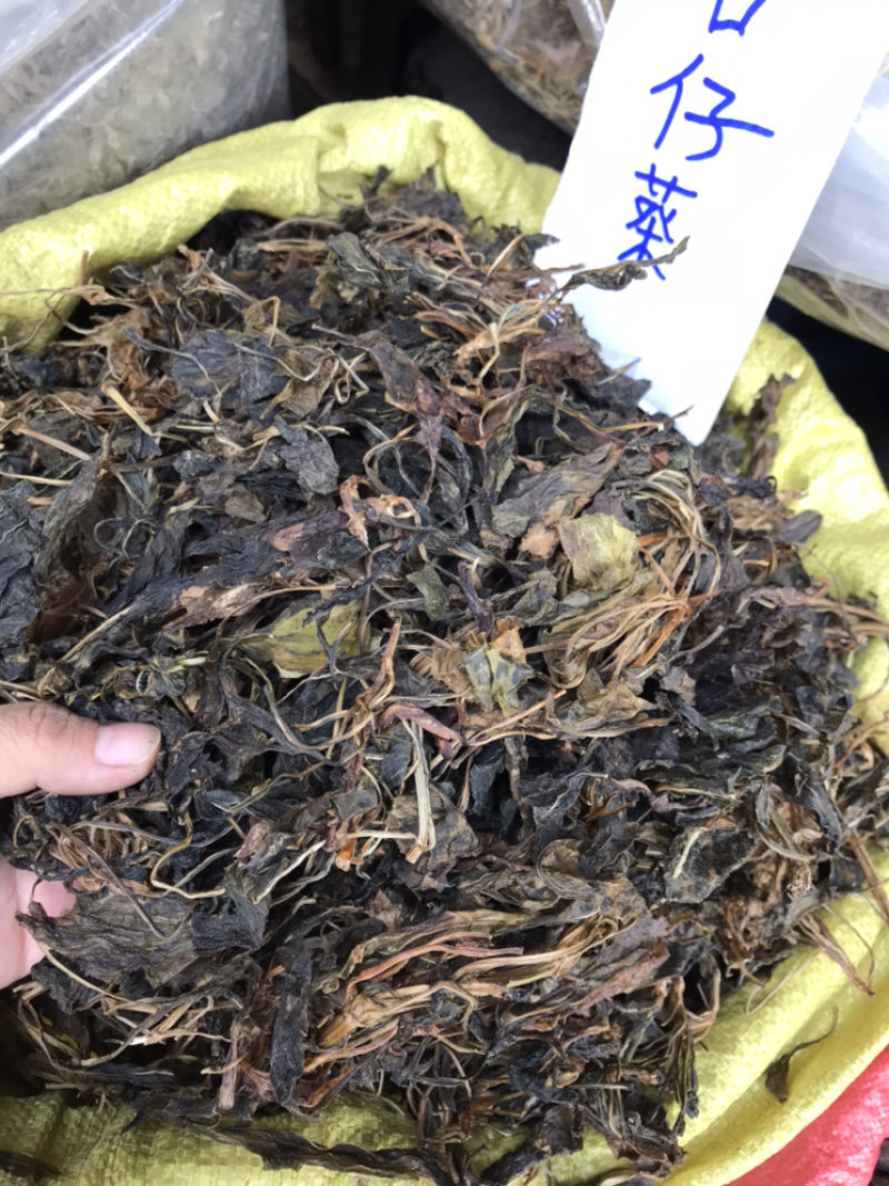 野生苦斋菜苦斋婆粤北野菜