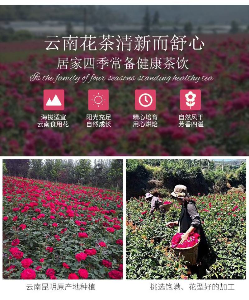 墨红玫瑰头水花烤干花冠瓶装20g云南玫瑰花茶一件代发