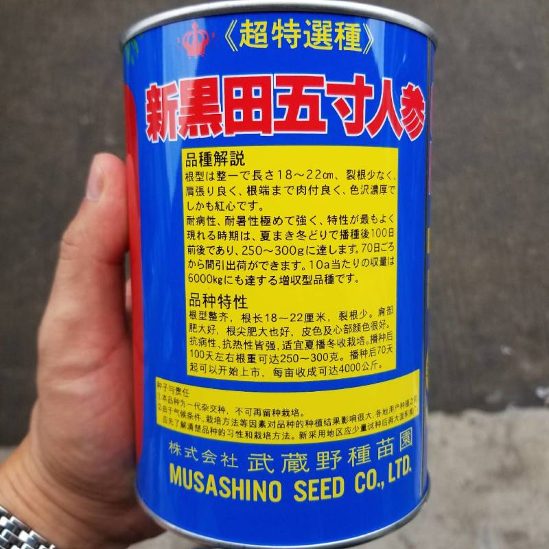 日本武藏野出品，一代交配，300克广良宝冠胡萝卜种子