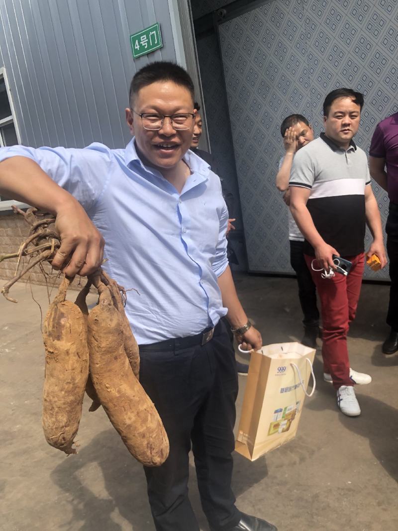 唐伯薯（高原紫薯）