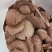 三棱三棱片万种中药材批发包邮