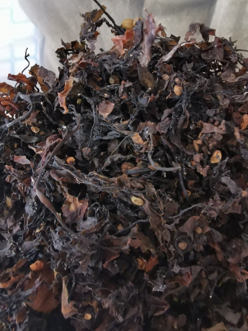 中药材天然海藻中药材产地一手货源