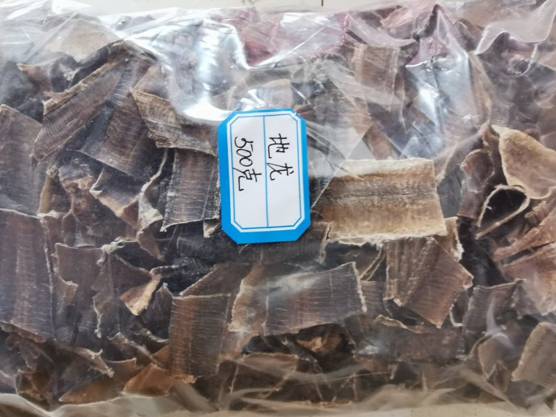 地龙沪地龙产地直销量大从优