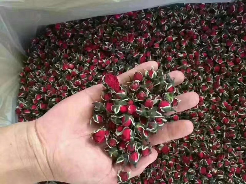 金边玫瑰（云南特产）一件代发一手货源质量保证