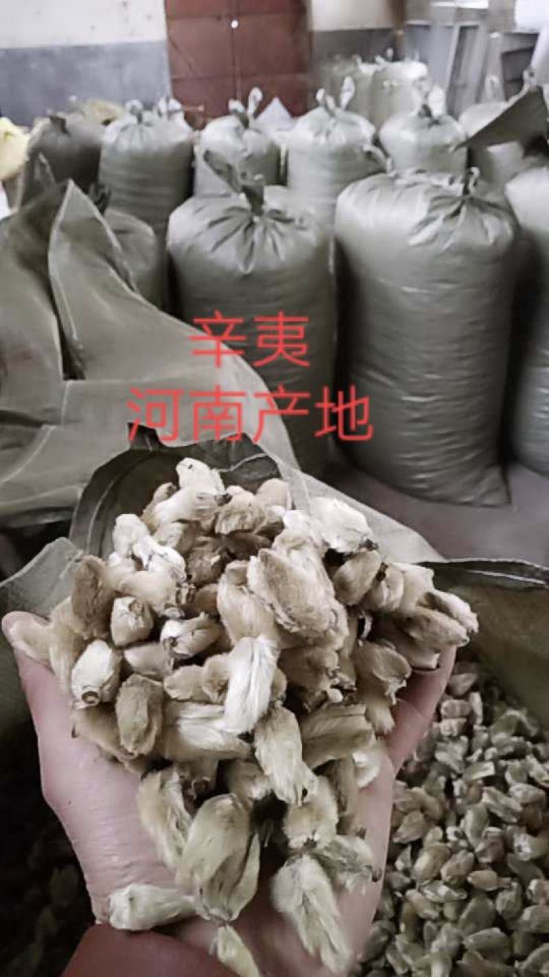 辛夷批发价格可协商辛夷桃毛桃产地直销药食同源