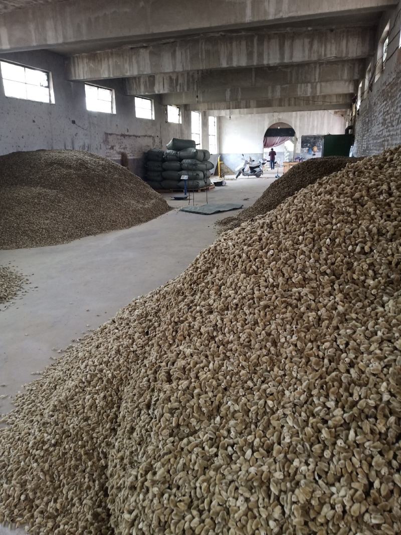 辛夷批发价格可协商辛夷桃毛桃产地直销药食同源