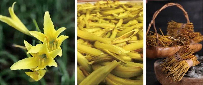 黄花菜