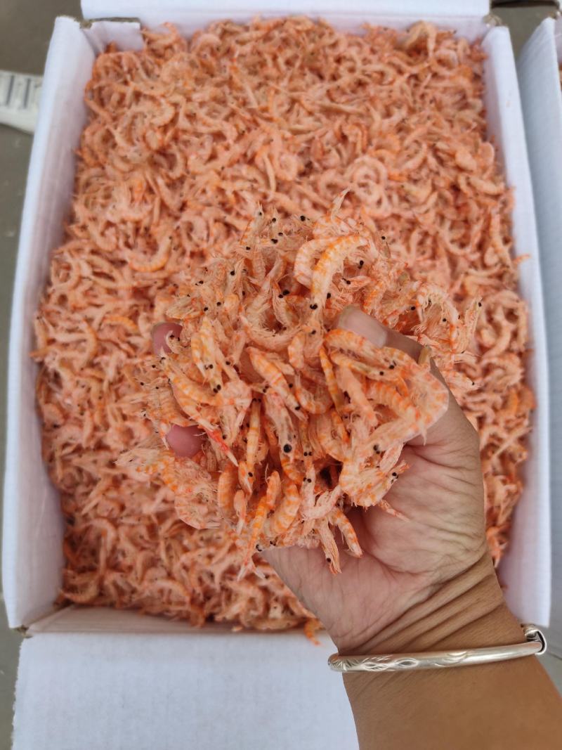 鳞虾皮，个大肉厚，可视频看货，产地直供