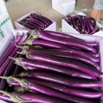 各种茄子大量现货，产地直发，质量保证，各种保证