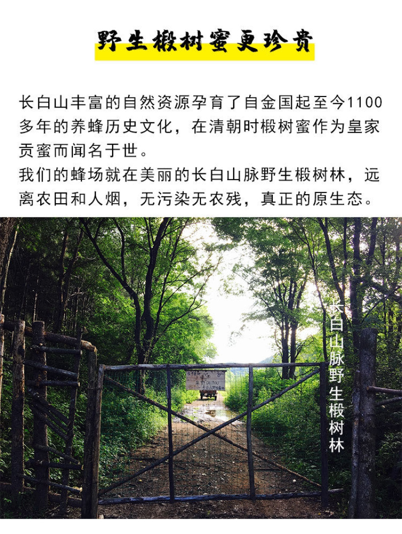 正宗吉林长白山蜂蜜，椴树蜜，百花蜜