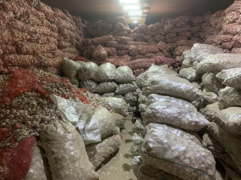 红米红皮大蒜紫河南早熟蒜农家自种产地直销