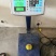 山东83黄桃工厂加工果数量大一手货源黄桃基地欢迎您