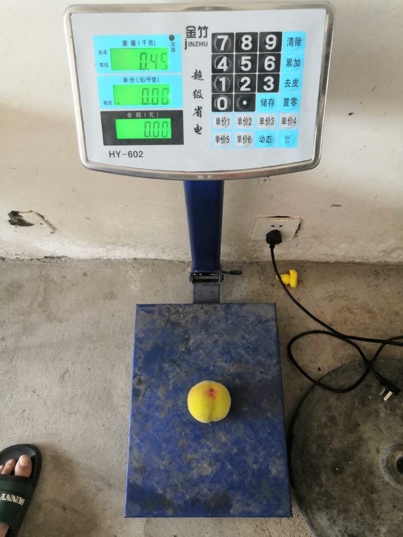 山东83黄桃工厂加工果数量大一手货源黄桃基地欢迎您