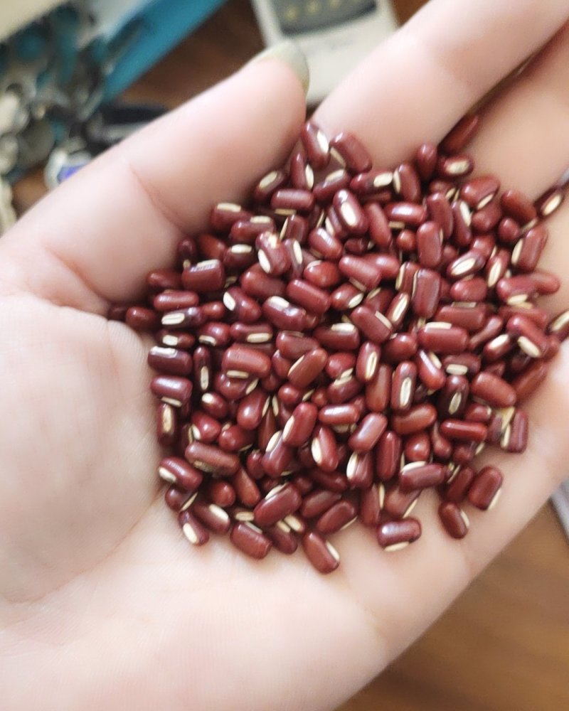 厂家直销大量批发精选一级赤小豆药用赤小豆