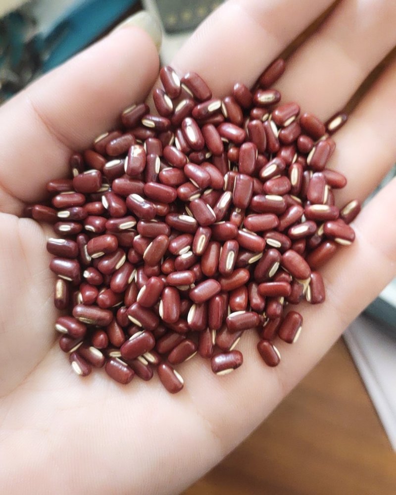 厂家直销大量批发精选一级赤小豆药用赤小豆