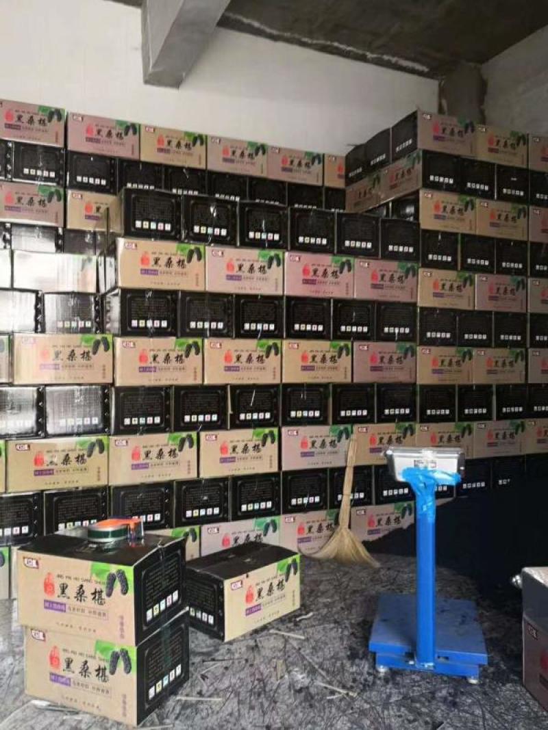 散装新货桑葚干个大肉厚无沙桑果干净无杂质量大优惠桑椹子