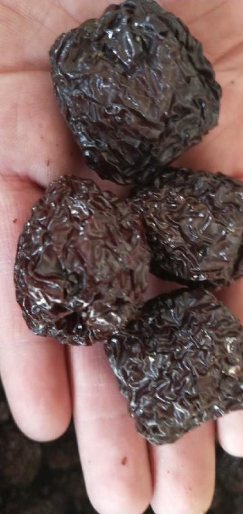 优质紫晶枣乌枣黑枣厂家一手货源价格实惠