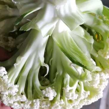 散花