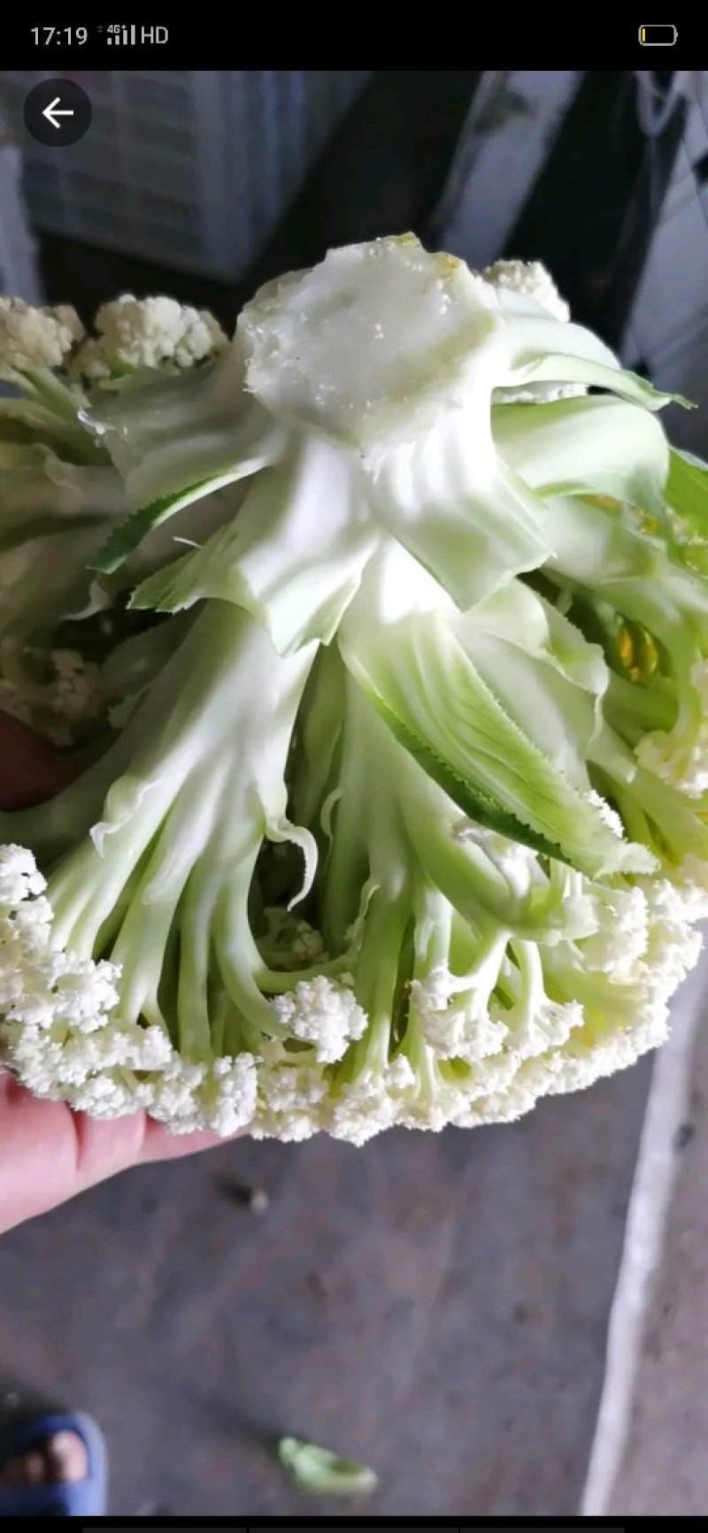 散花