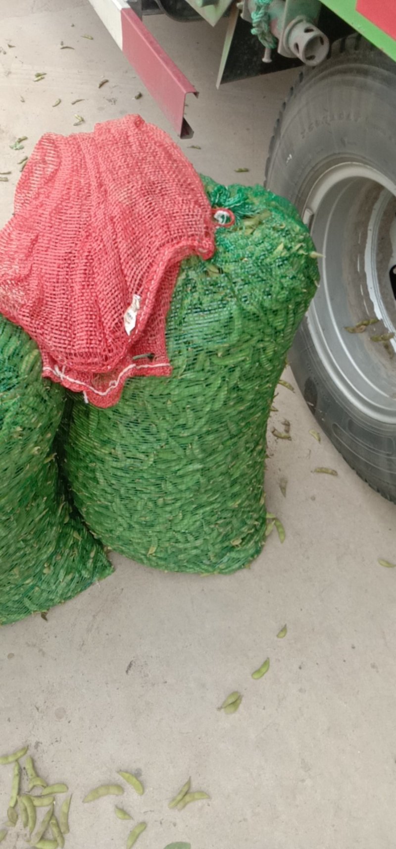 精品翠绿宝毛豆产地直供，质量好价格便宜大板豆角