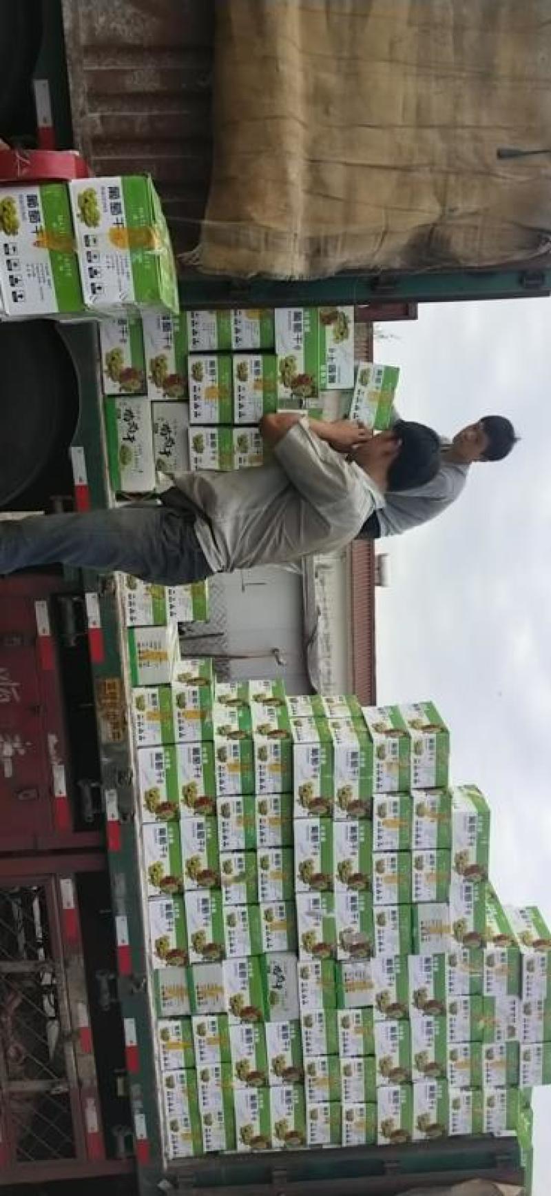 新疆葡萄干绿香妃葡萄干厂家批发电商商超社区袋装支持代